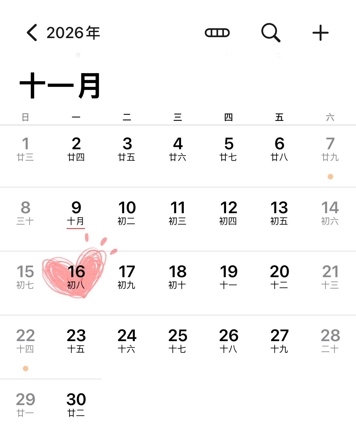 2026年11月16日婚礼日期
